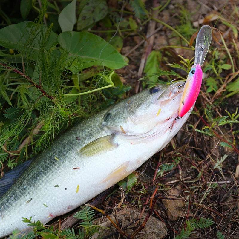 TSURINOYA 57SP Deep Dive Suspending Minnow - Fish & Cheaps | Fishing & Outdoor Gear