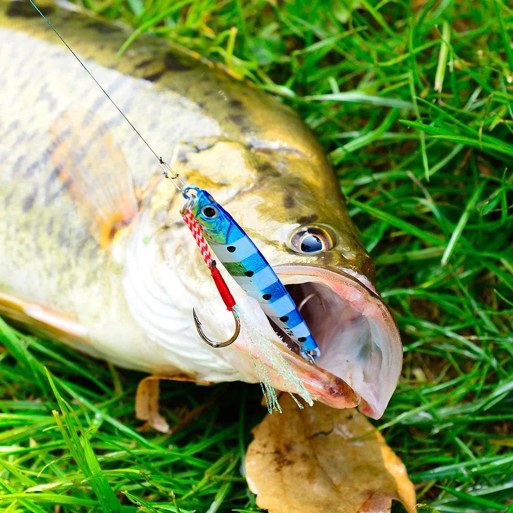 PROBEROS Metal Jig Fishing Lure - Fish & Cheaps | Fishing & Outdoor Gear