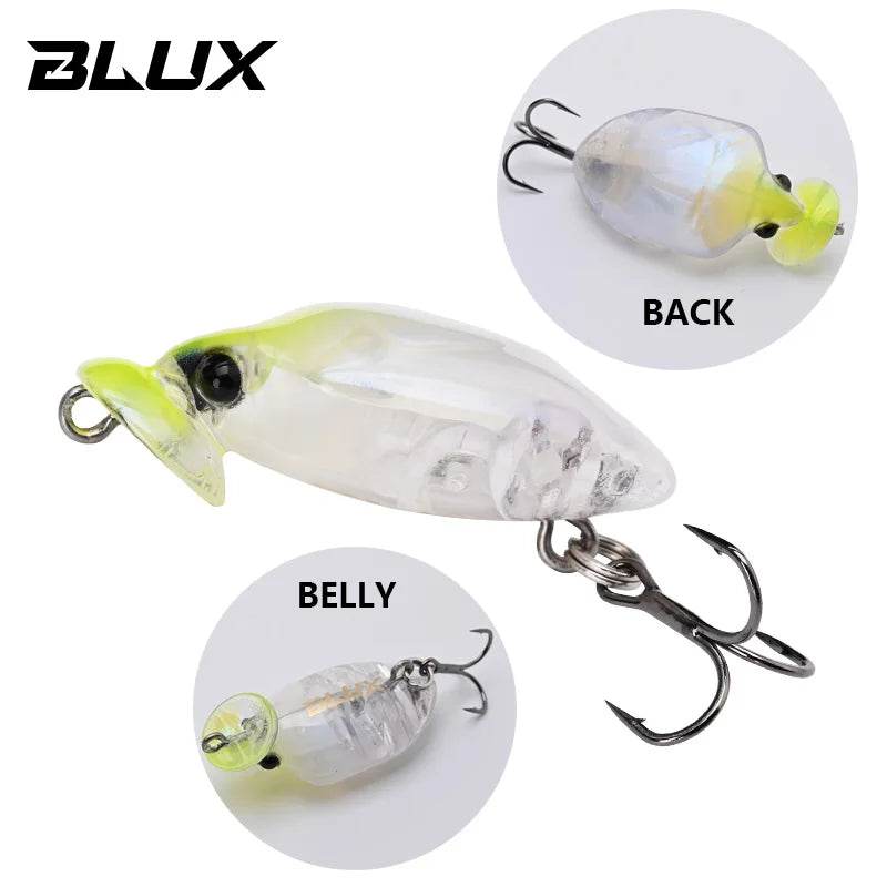 BLUX STINKBUG 31mm Topwater Crankbait - Fish & Cheaps | Fishing & Outdoor Gear