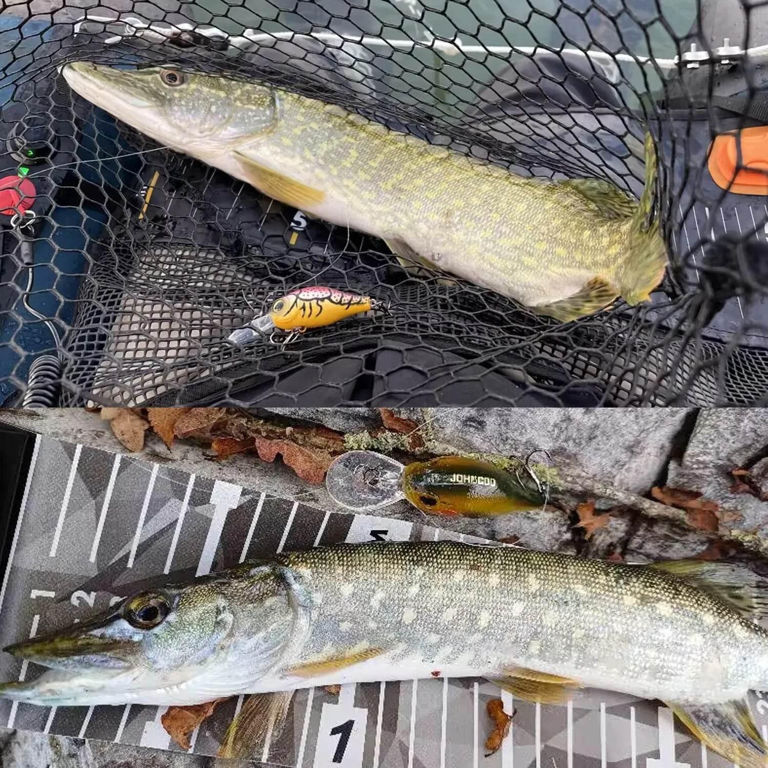 JOHNCOO Floating Crankbait Wobbler - Fish & Cheaps | Fishing & Outdoor Gear