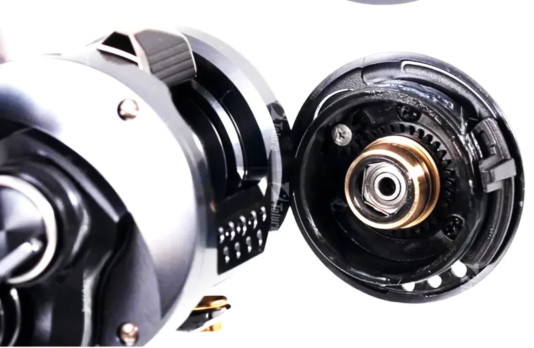 SHIMANO CALCUTTA CONQUEST SHALLOW EDITION Casting Reel - Fish & Cheaps | Fishing & Outdoor Gear