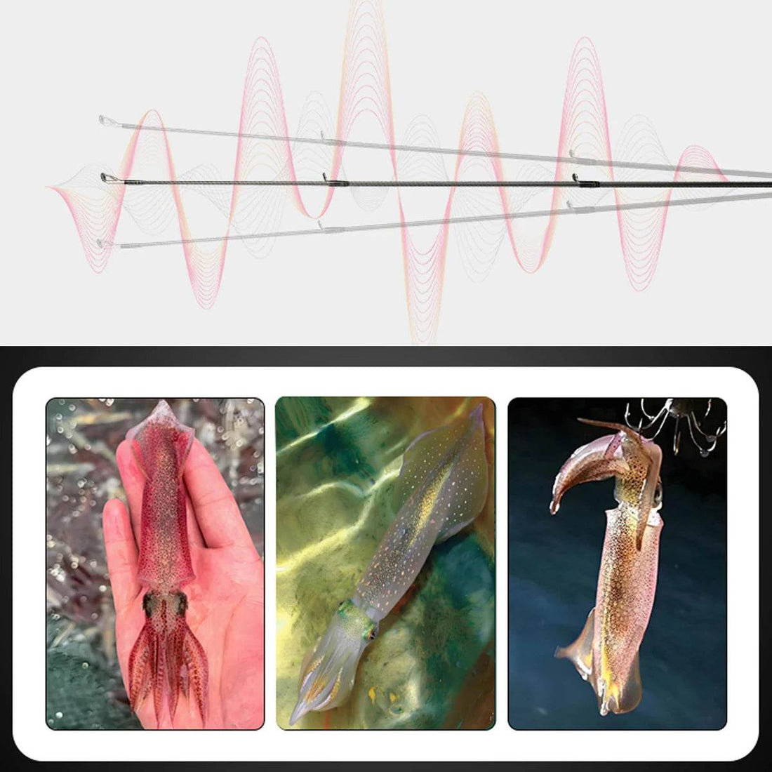 Johncoo 2.6m Squid Egi Rod – Ultra-Lightweight Precision - Fish & Cheaps | Fishing & Outdoor Gear