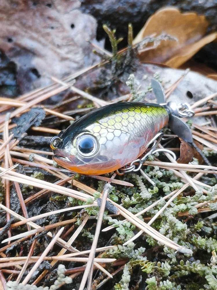 Kingdom GoldPop 35mm Topwater Lure - Fish & Cheaps | Fishing & Outdoor Gear