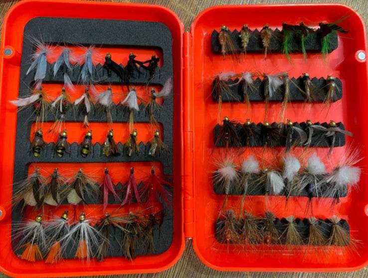 Goture 9FT Travel Fly Fishing Rod Combo - Fish & Cheaps