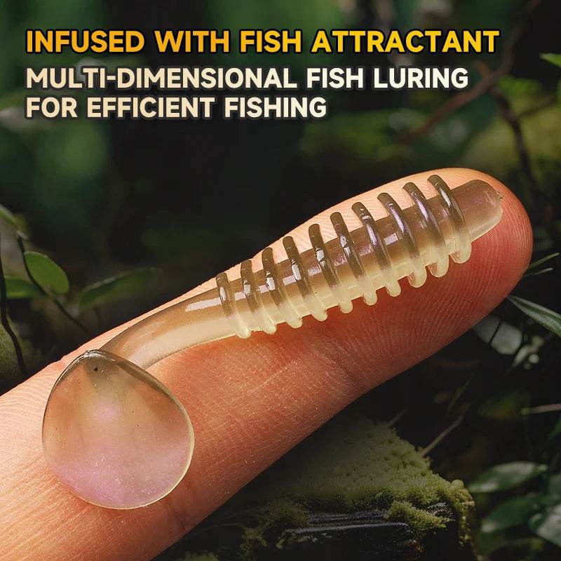Supercontinent Rubbring Shad Soft Baits 5cm – UV-Enhanced Lures - Fish & Cheaps | Fishing & Outdoor Gear