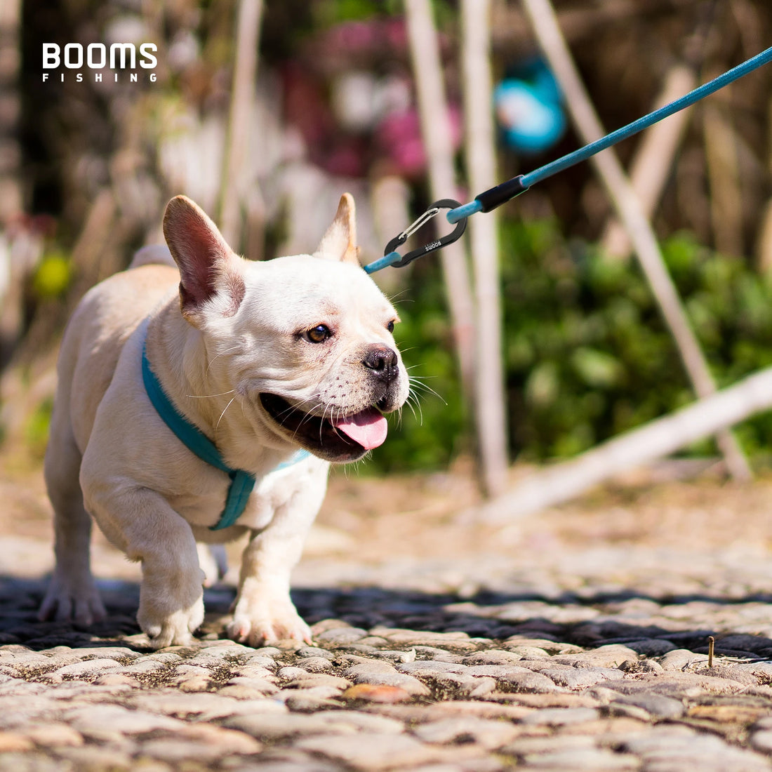 Booms Fishing CC5 Alloy Carabiner Clip – 10 Pack